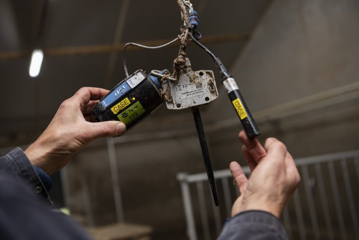 pilot kalverhouderijen