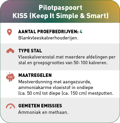 pilot paspoort kiss